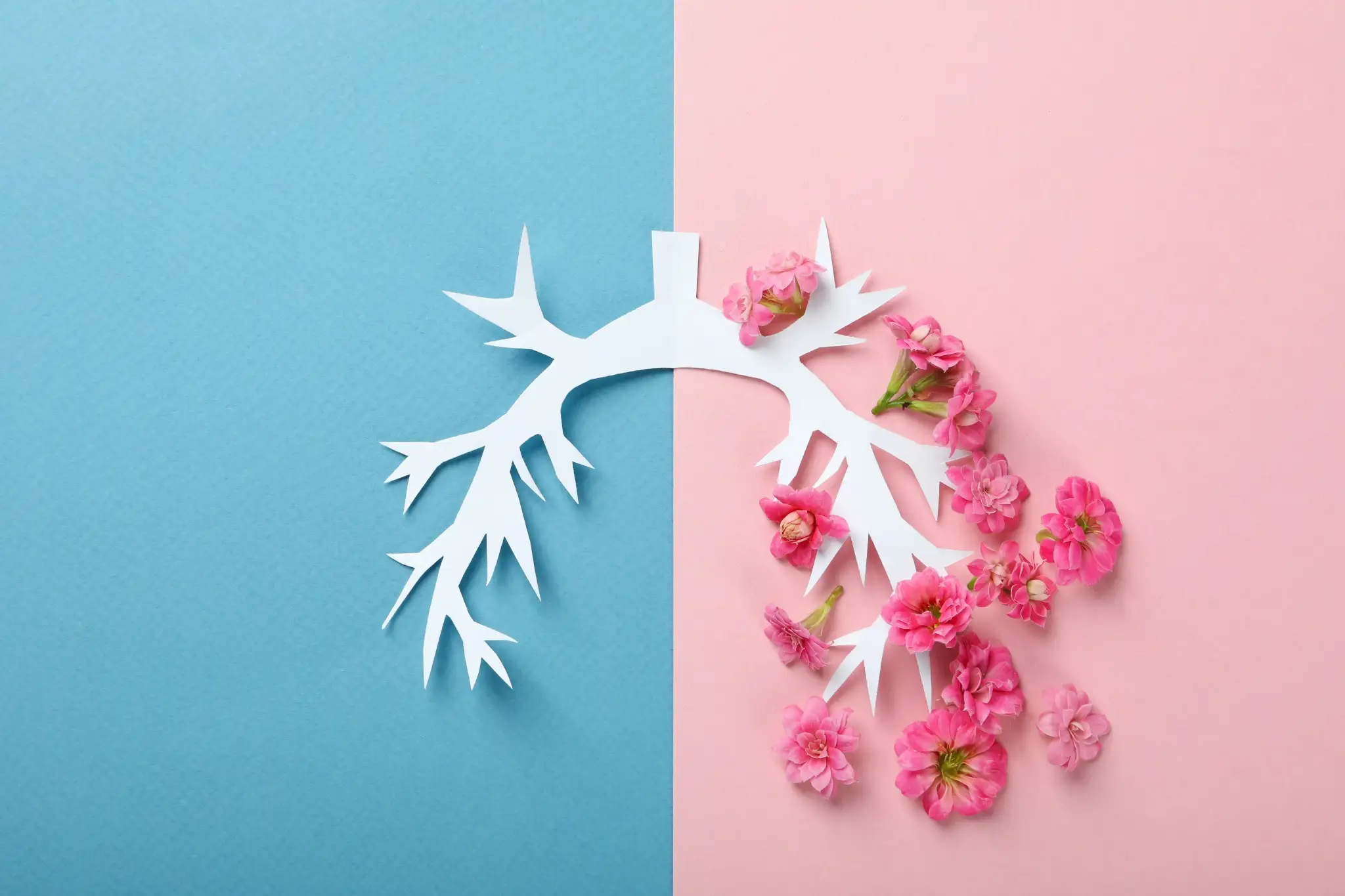 Anksioznost i pritisak u prsima